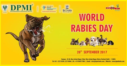 World Rabies Day