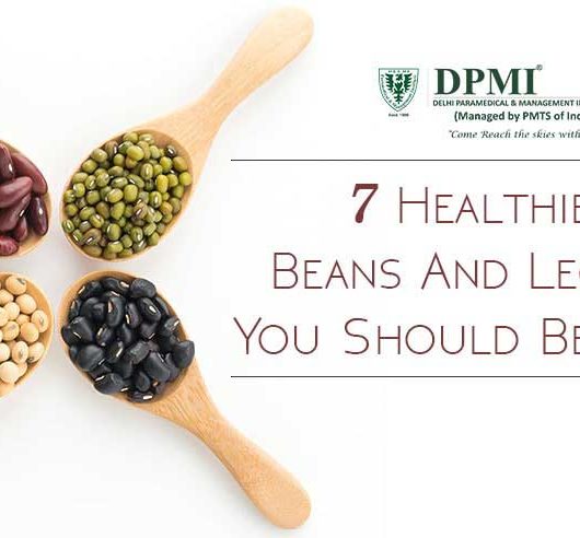 7 Healthiest Beans and Legumes you should be Eating