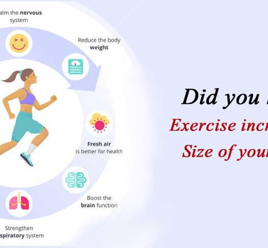 Exercise Increases the Size of your Brain