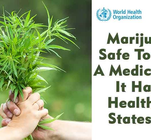 Marijuana Is Safe To Use As A Medical Drug, It Has NO Health Risks States WHO